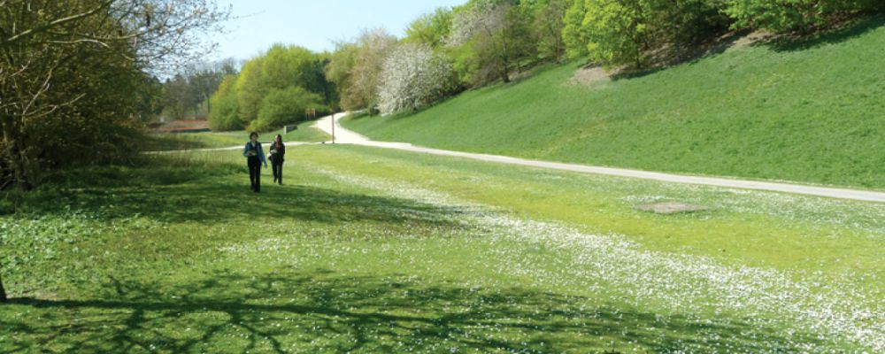 La Vieille Mer - Parc de la Courneuve © SAGE CEVM