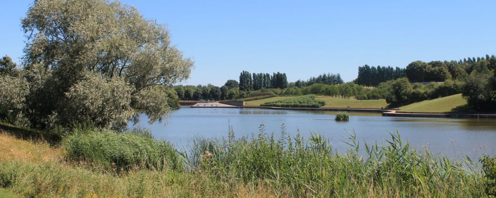 Etang de Savigny - Parc du Sausset © SAGE CEVM Etang de Savigny - Parc du Sausset © SAGE CEVM