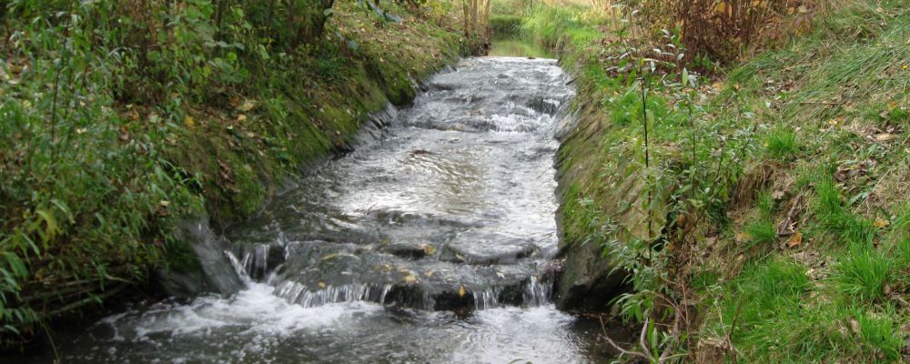 Petit Rosne à Chauffour © SAGE CEVM Petit Rosne à Chauffour © SAGE CEVM