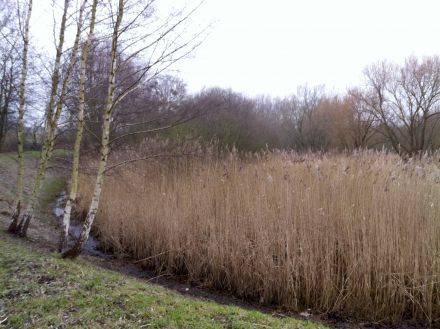 Bassin Huguée Bonneuil © SAGE CEVM