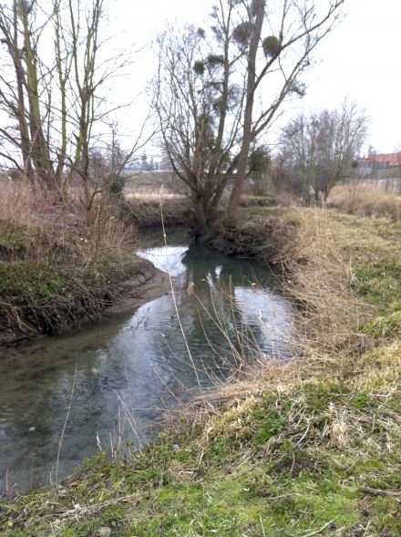 Bassin Huguée Bonneuil © SAGE CEVM