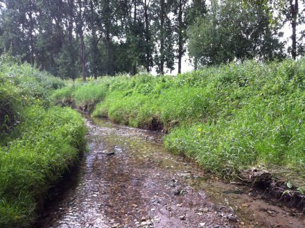 Le Petit Rosne à Ecouen © SAGE CEVM