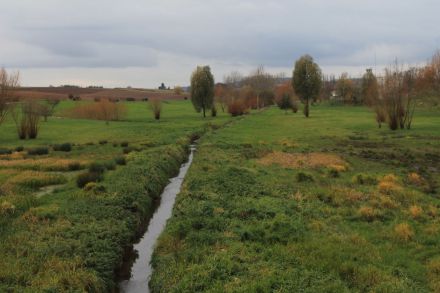 Le Petit Rosne à Ezanville © SAGE CEVM