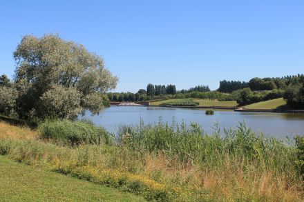 Parc Sausset, étang de Savigny