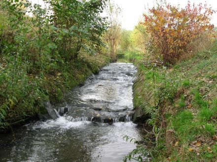 Petit Rosne - Chauffours © SAGE CEVM