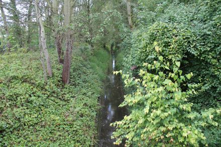 Petit Rosne - Ecouen © SAGE CEVM