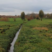 Le Petit Rosne à Ezanville © SAGE CEVM