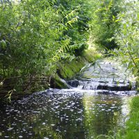 Travaux de génie végétal  sur le Petit Rosne à Sarcelles © SAGE CEVM