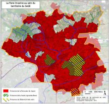 Carte de la flore invasive