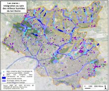 Carte du réseau de mares