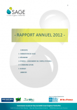 Rapport d'activité de la CLE 2012