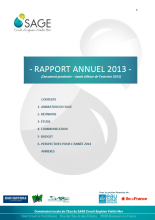 Rapport d'activité de la CLE 2013